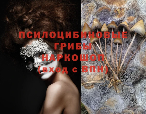 apvp Баксан
